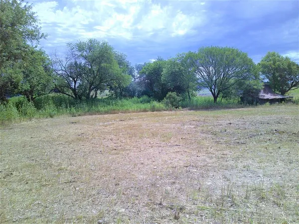 a view of a dry yard with trees