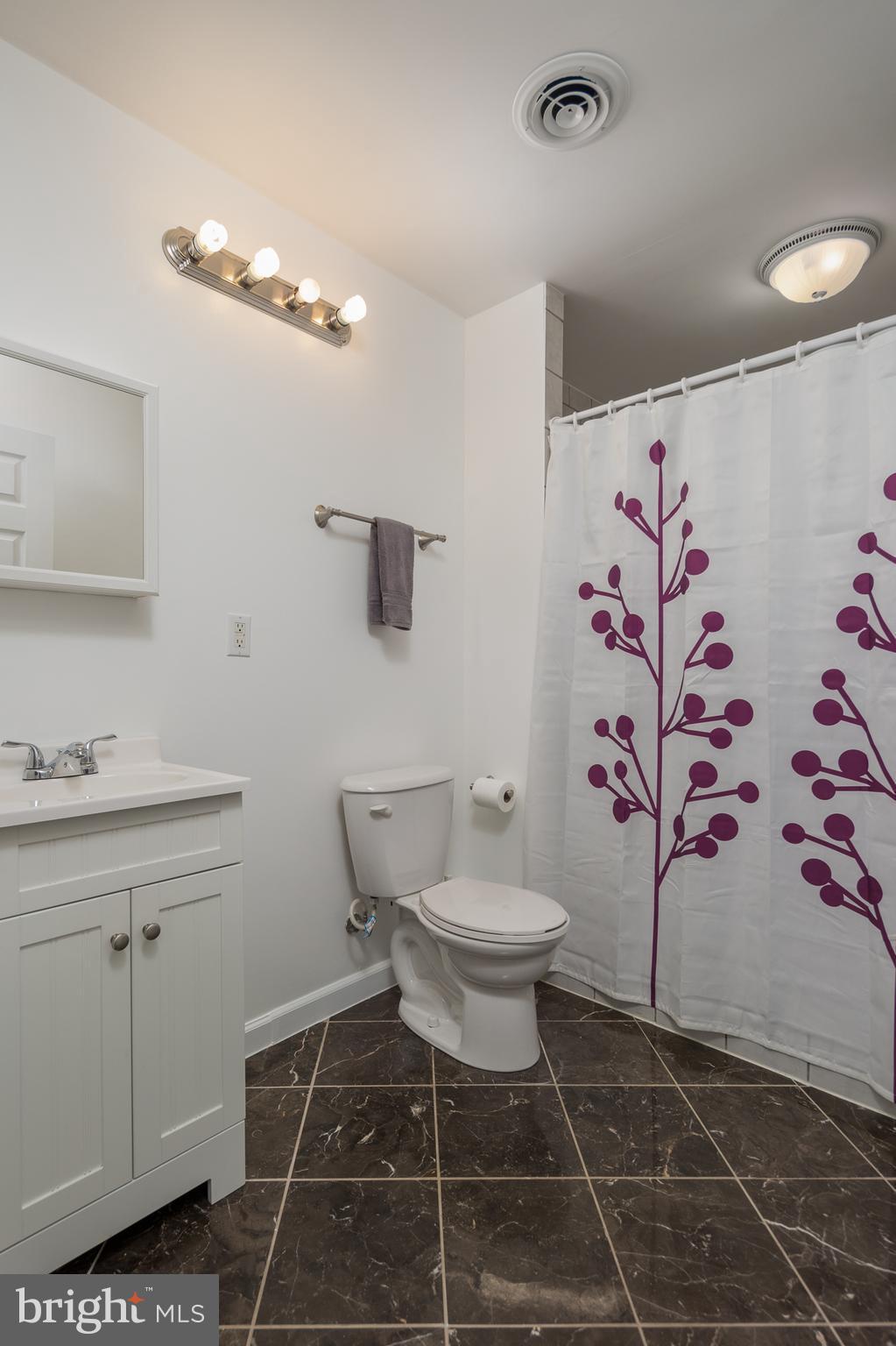 9705 Botsford Road Manassas, VA 20109 - Photo 19 of 22 Bath