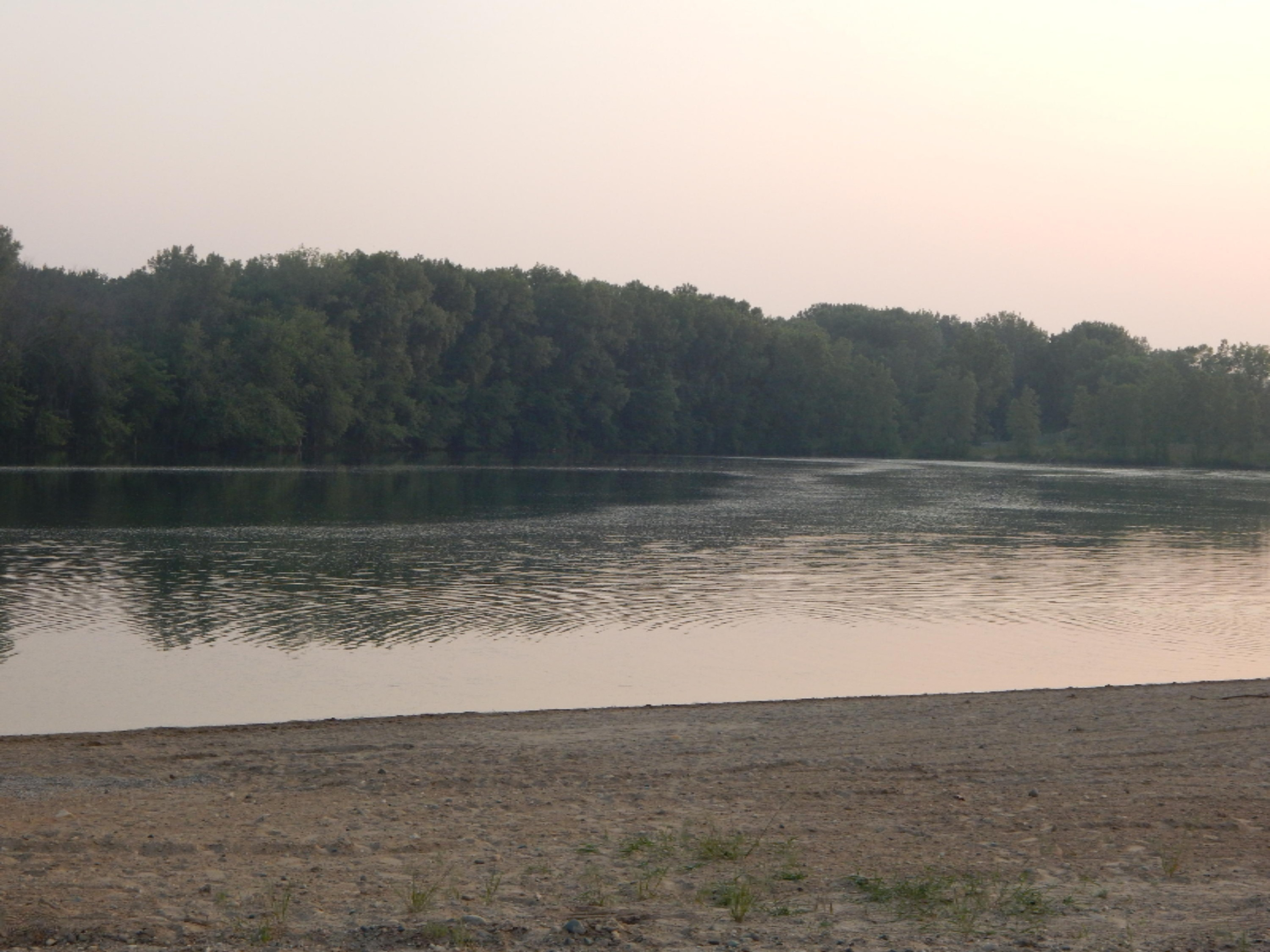 960 Bowes Road Lowell, MI 49331 - Photo 14 of 16 Pebble Beach