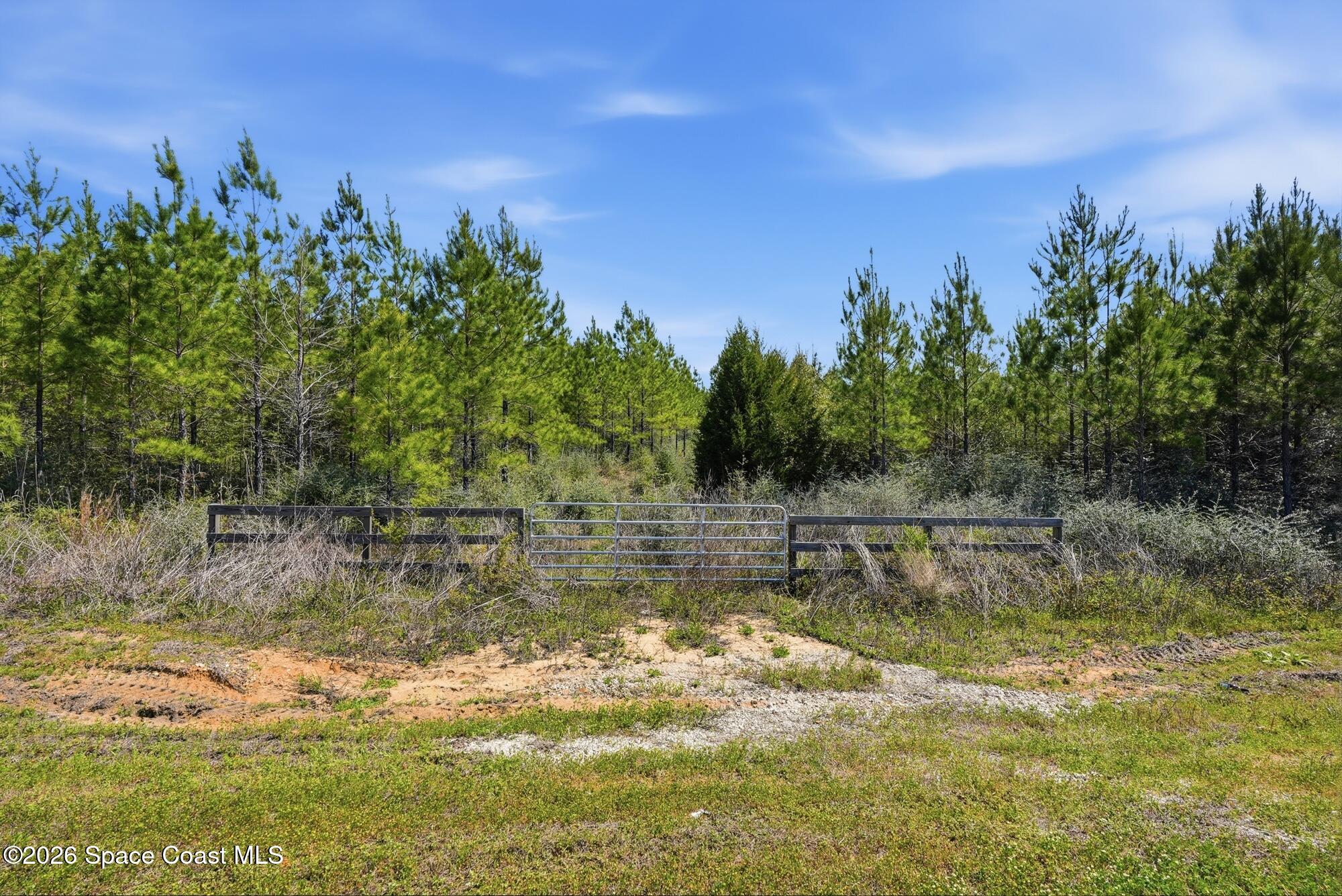 23287 Church Road Altha, FL 32421 - Photo 6 of 17 23287 NW Church Rd