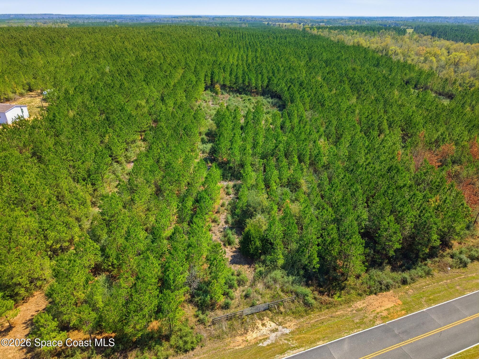 23287 Church Road Altha, FL 32421 - Photo 8 of 17 23287 NW Church Rd