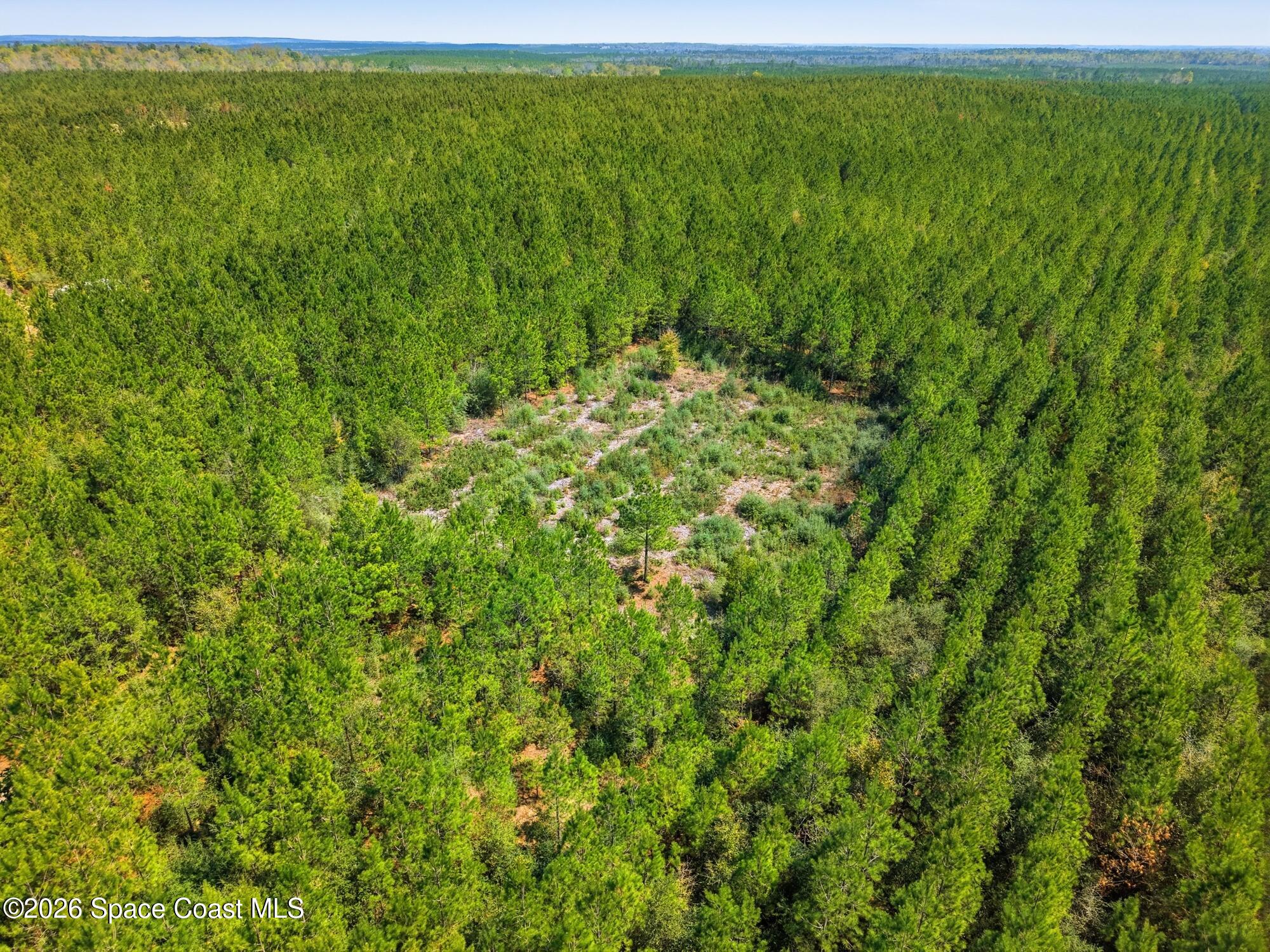 23287 Church Road Altha, FL 32421 - Photo 9 of 17 23287 NW Church Rd