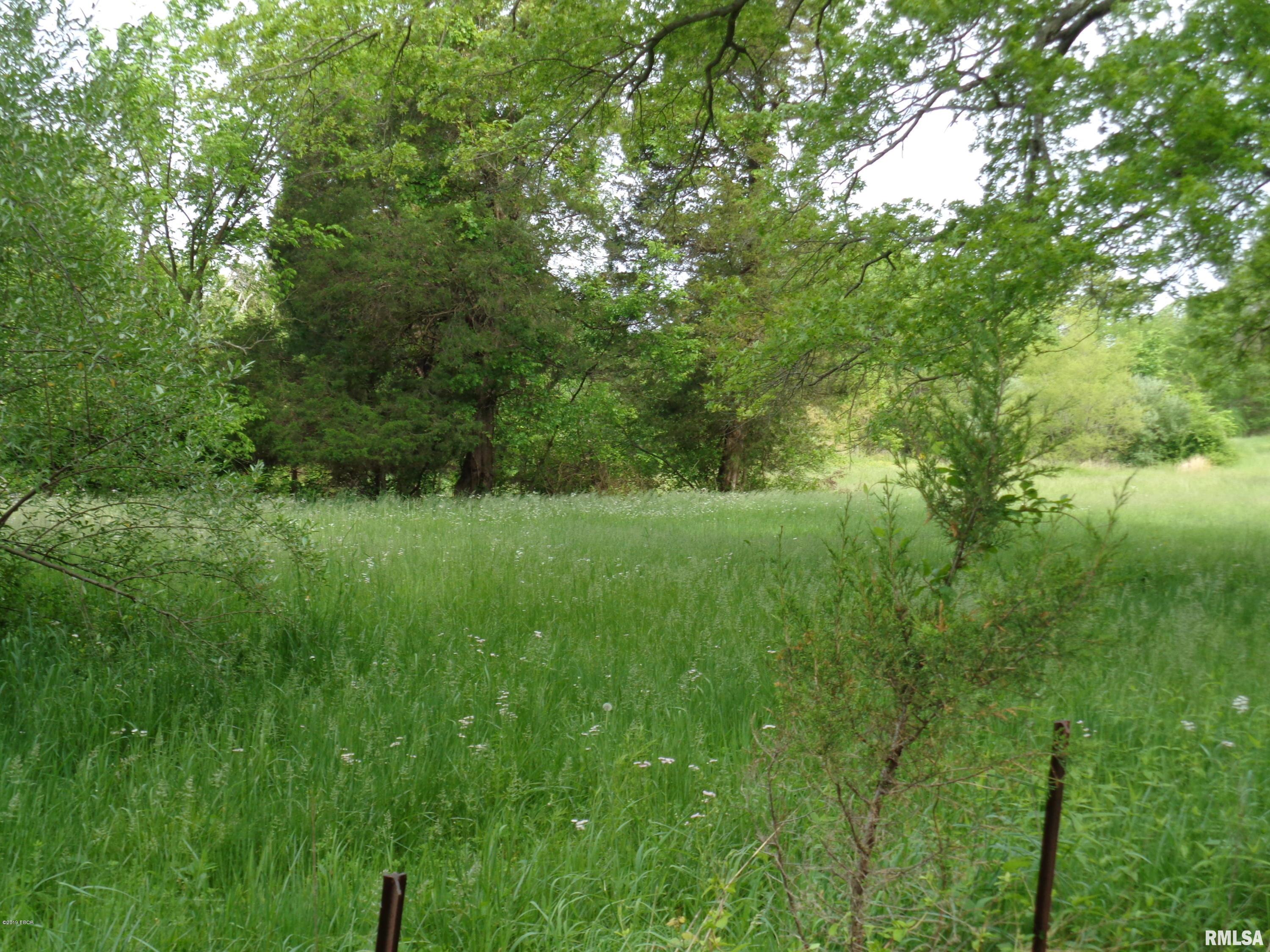 239 Ozark Road Simpson, IL 62985 - Photo 3 of 7 Gallery Image 3
