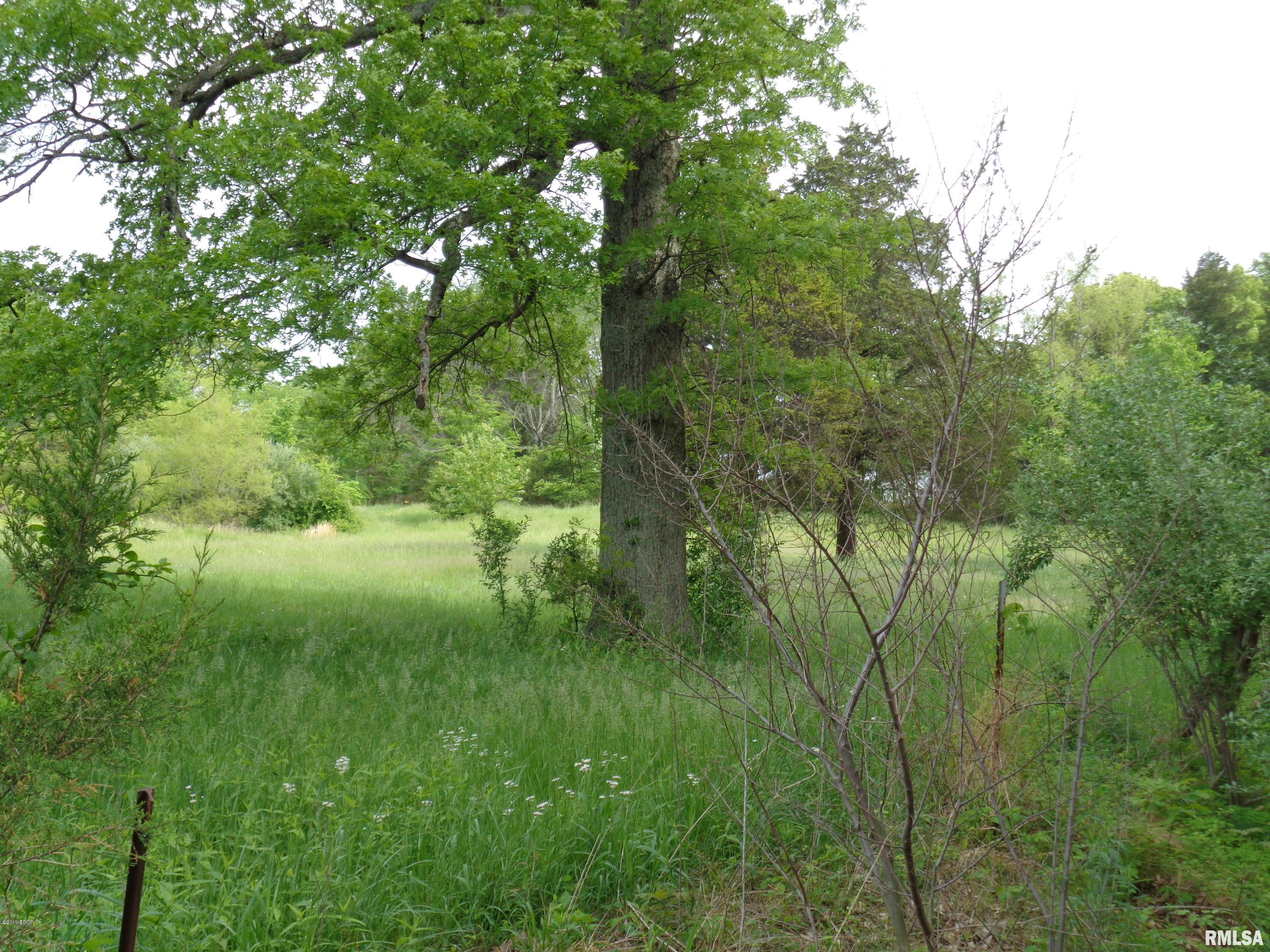 239 Ozark Road Simpson, IL 62985 - Photo 6 of 7 Gallery Image 6