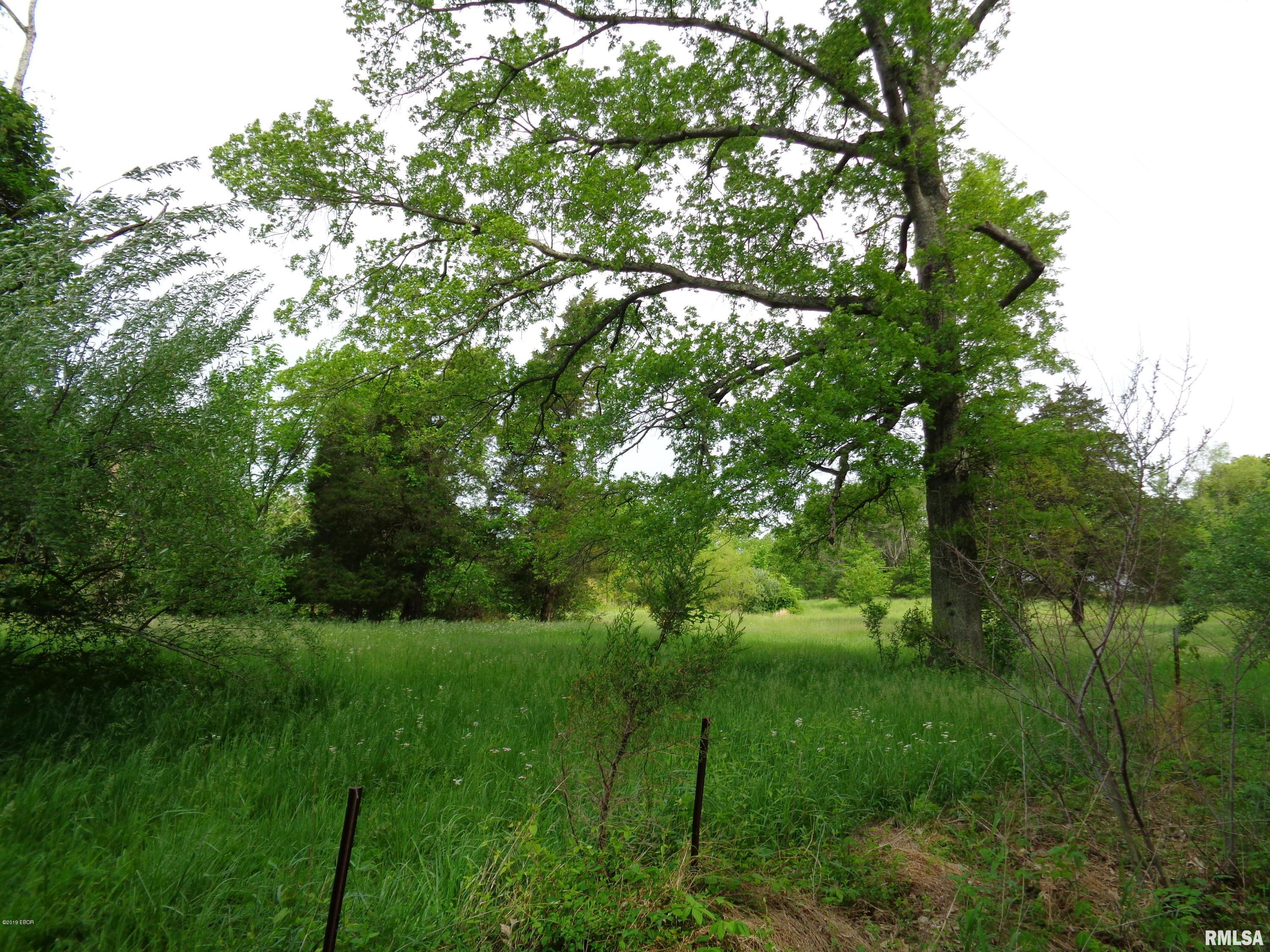 239 Ozark Road Simpson, IL 62985 - Photo 7 of 7 Gallery Image 7