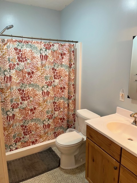 466 County Road 100 North Sadorus, IL 61872 - Photo 6 of 29 a bathroom with a toilet a sink and a mirror