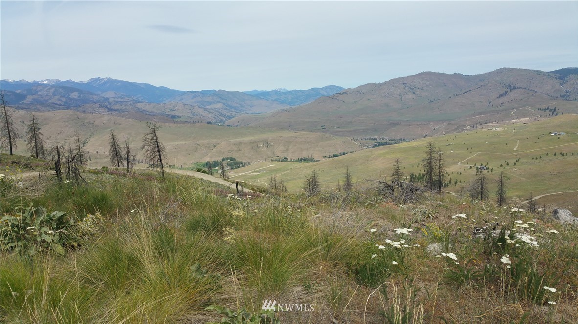 111 Skyridge Road Pateros, WA 98846 - Photo 1 of 6 Gallery Image 1
