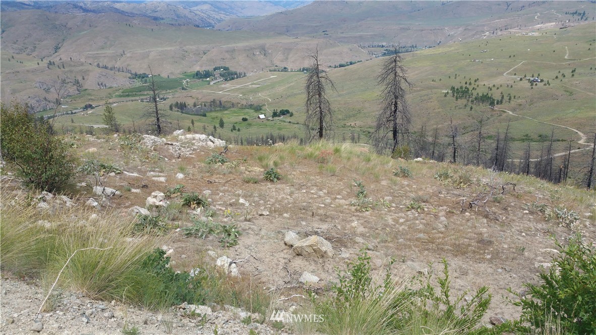 111 Skyridge Road Pateros, WA 98846 - Photo 2 of 6 Gallery Image 2
