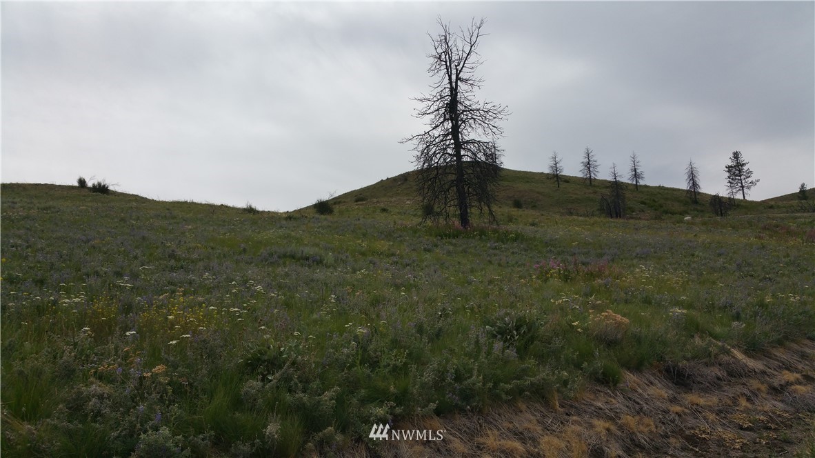 111 Skyridge Road Pateros, WA 98846 - Photo 3 of 6 Gallery Image 3