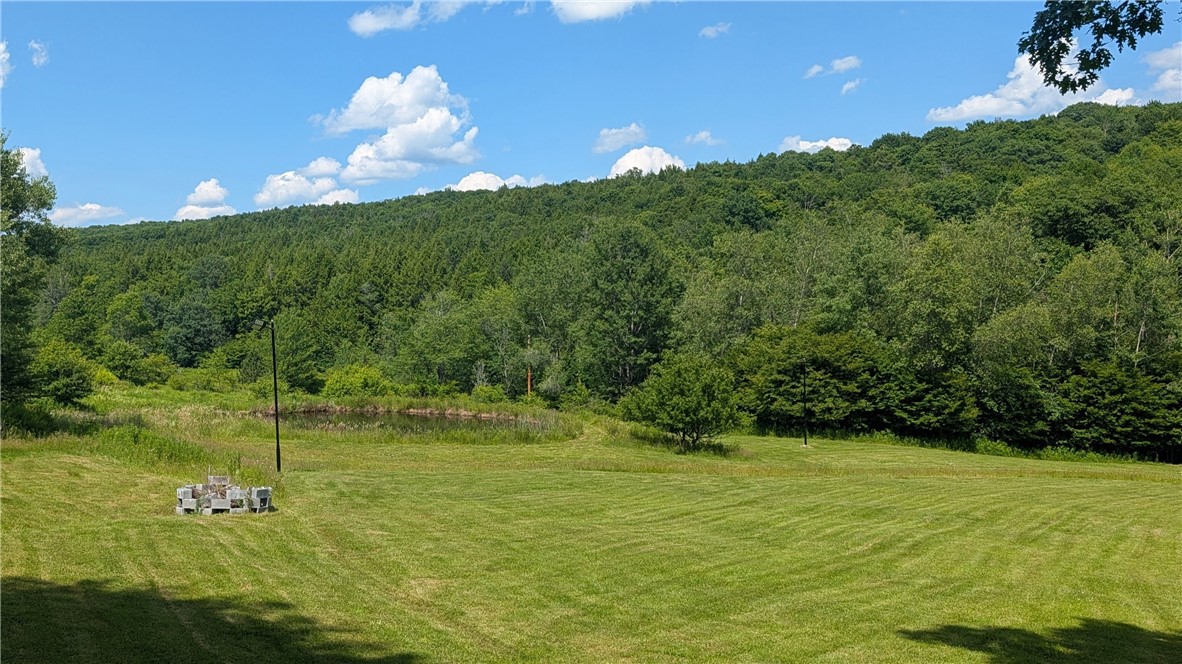 970 Clark Road Sidney Center, NY 13839 - Photo 7 of 48