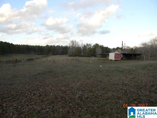 151 Glenn Road Wilsonville, AL 35186 - Photo 19 of 34