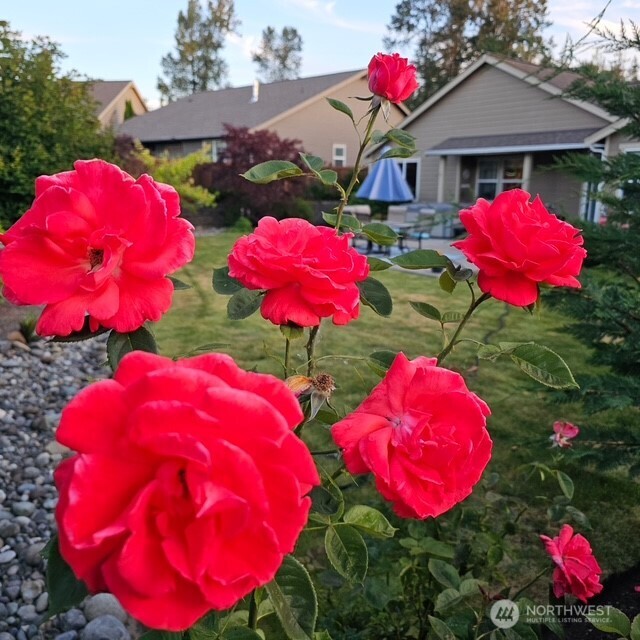 506 Timberland Loop Mount Vernon, WA 98273 - Photo 32 of 38 Gallery Image 32