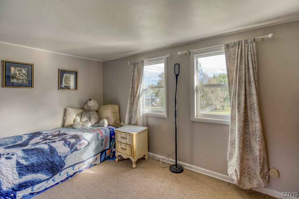 214 Horan Road Camillus, NY 13209 - Photo 24 of 37