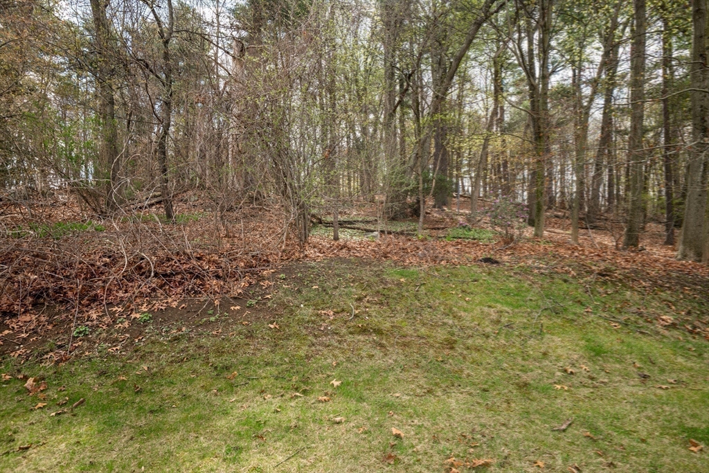 6 Janice Lane Stoneham, MA 02180 - Photo 33 of 35 a view of outdoor space and yard