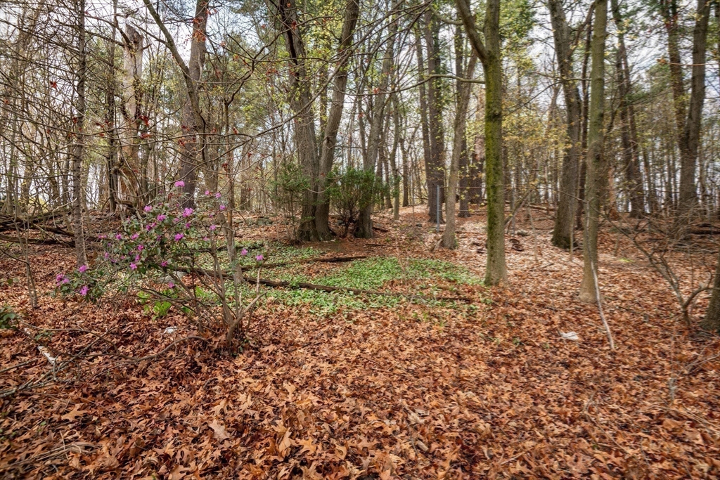 6 Janice Lane Stoneham, MA 02180 - Photo 34 of 35 a backyard of a house with lots of green space