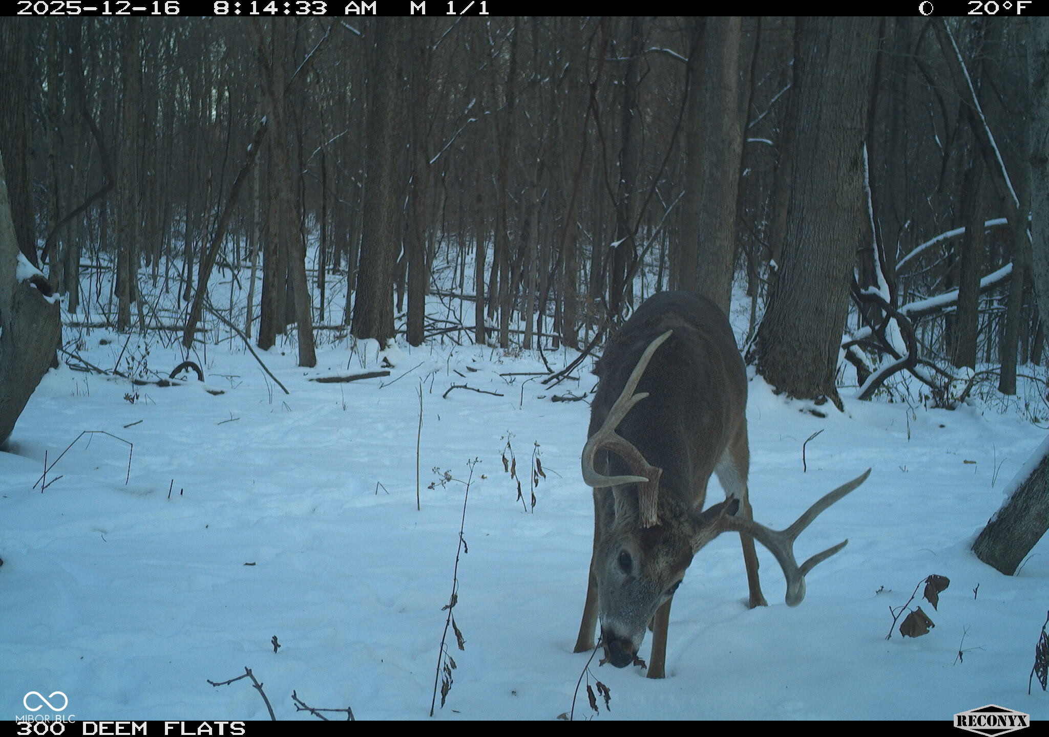 -1300 South Clinton, IN 47842 - Photo 20 of 38