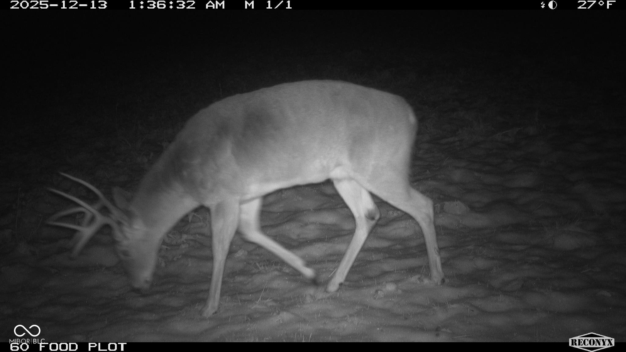 -1300 South Clinton, IN 47842 - Photo 21 of 38