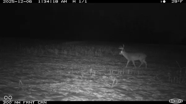 $241,360 | -1300 South, Clinton, IN 47842