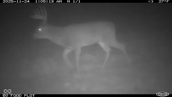 $241,360 | -1300 South, Clinton, IN 47842