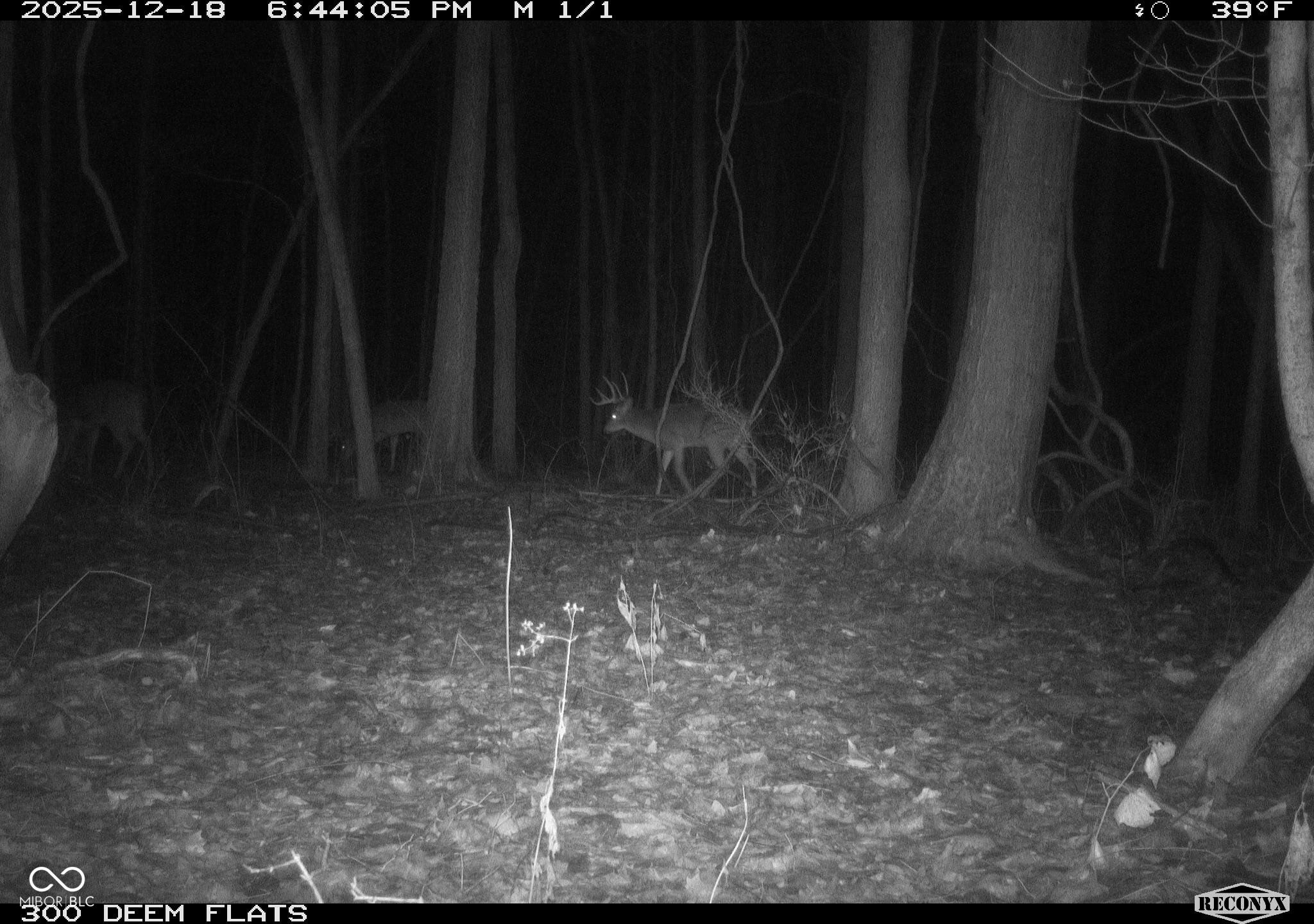 -1300 South Clinton, IN 47842 - Photo 24 of 38