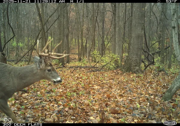 $241,360 | -1300 South, Clinton, IN 47842