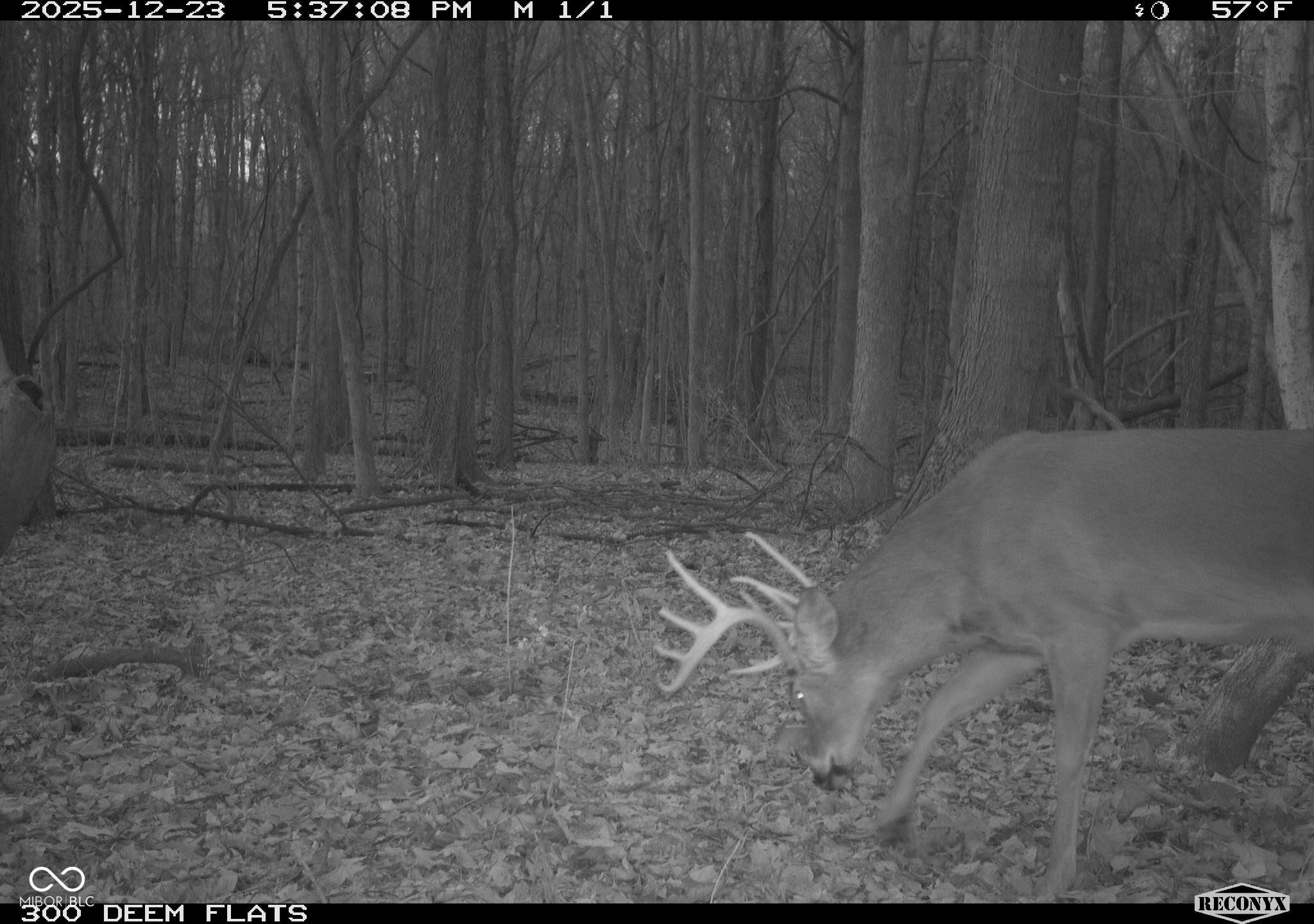 -1300 South Clinton, IN 47842 - Photo 27 of 38