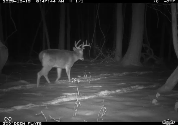 $241,360 | -1300 South, Clinton, IN 47842