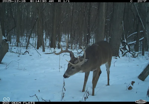 $241,360 | -1300 South, Clinton, IN 47842