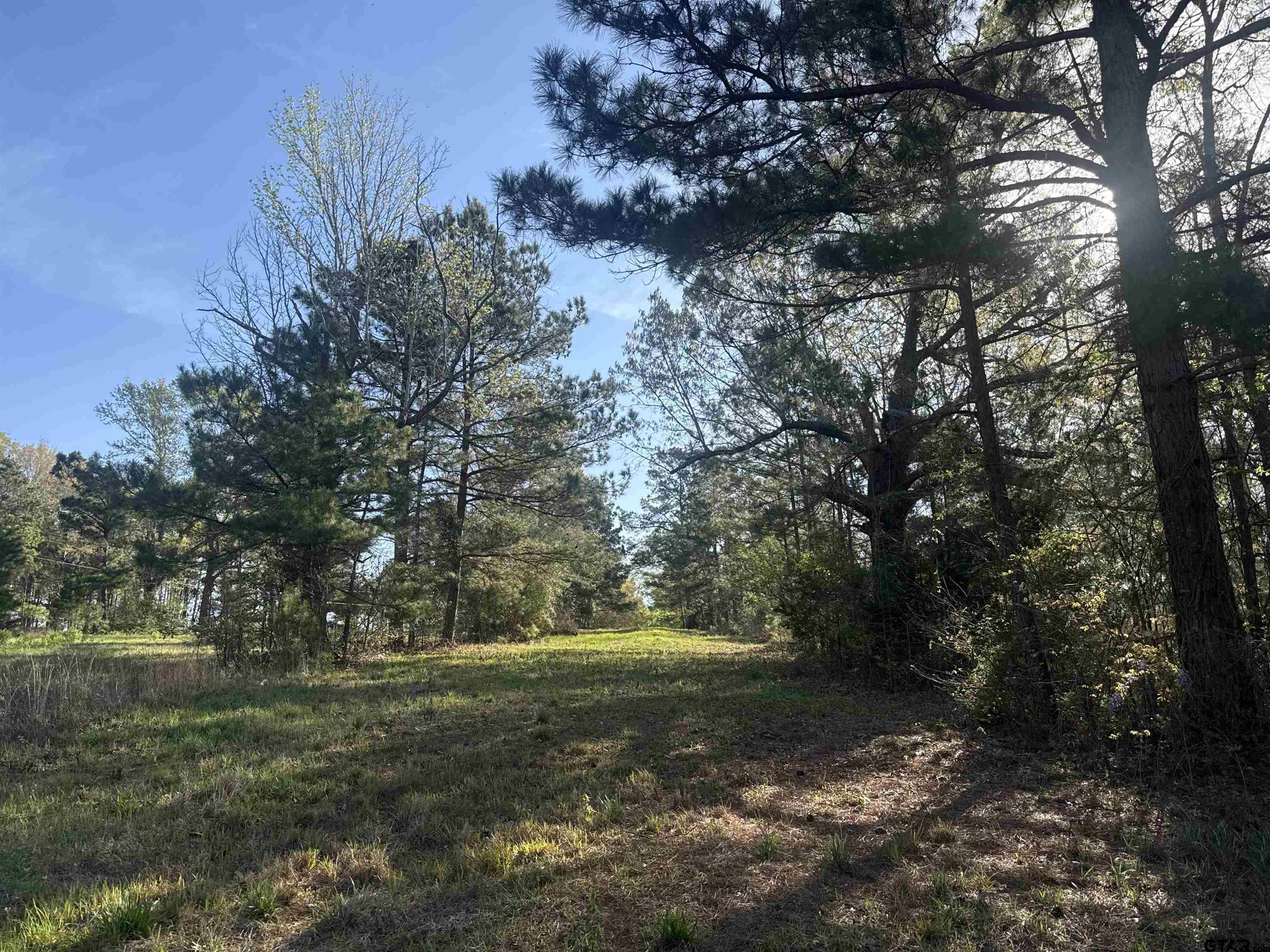 15830 Shady Creek Road Tyler, TX 75705 - Photo 5 of 18 a view of outdoor space and yard