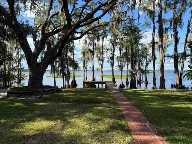 a view of a backyard with large trees