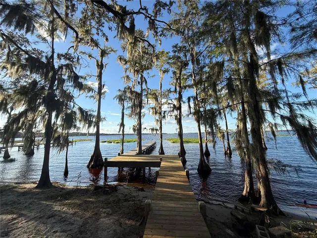 a view of a backyard with large trees and wooden fence