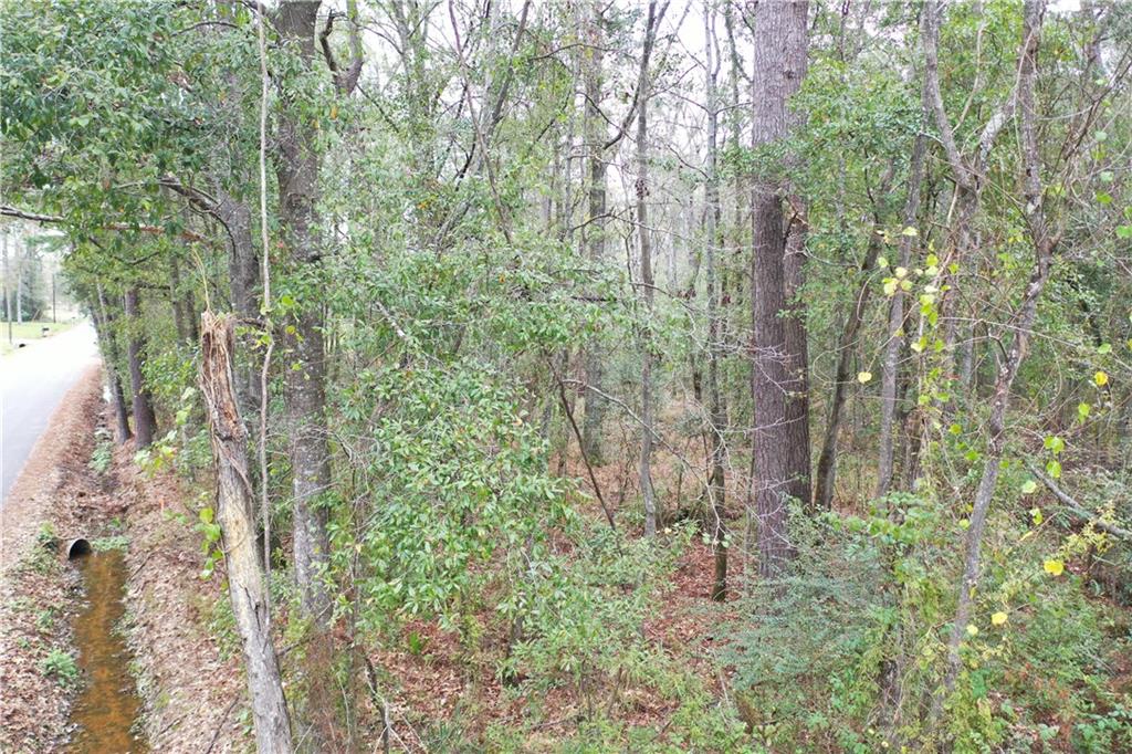 7.168 Cannino Road Hammond, LA 70401 - Photo 23 of 29 Gallery Image 23