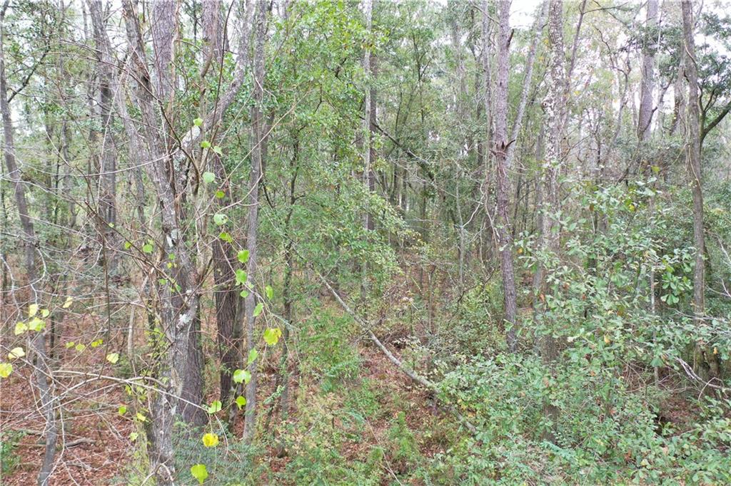 7.168 Cannino Road Hammond, LA 70401 - Photo 24 of 29 Gallery Image 24
