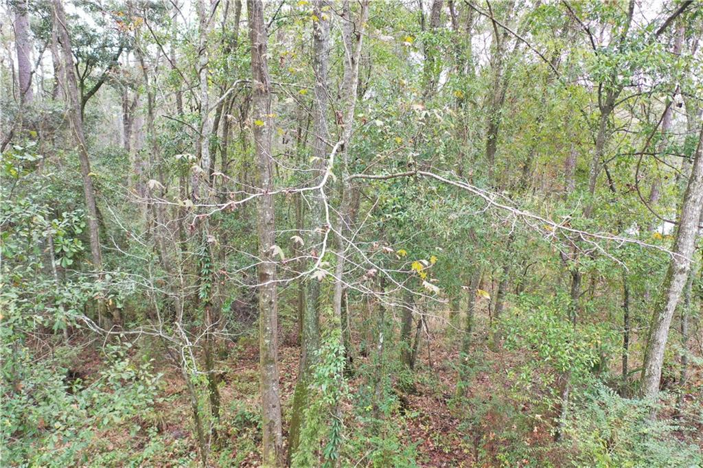 7.168 Cannino Road Hammond, LA 70401 - Photo 25 of 29 Gallery Image 25