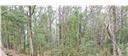 7.168 Cannino Road Hammond, LA 70401 - Photo 27 of 29 Gallery Image 27