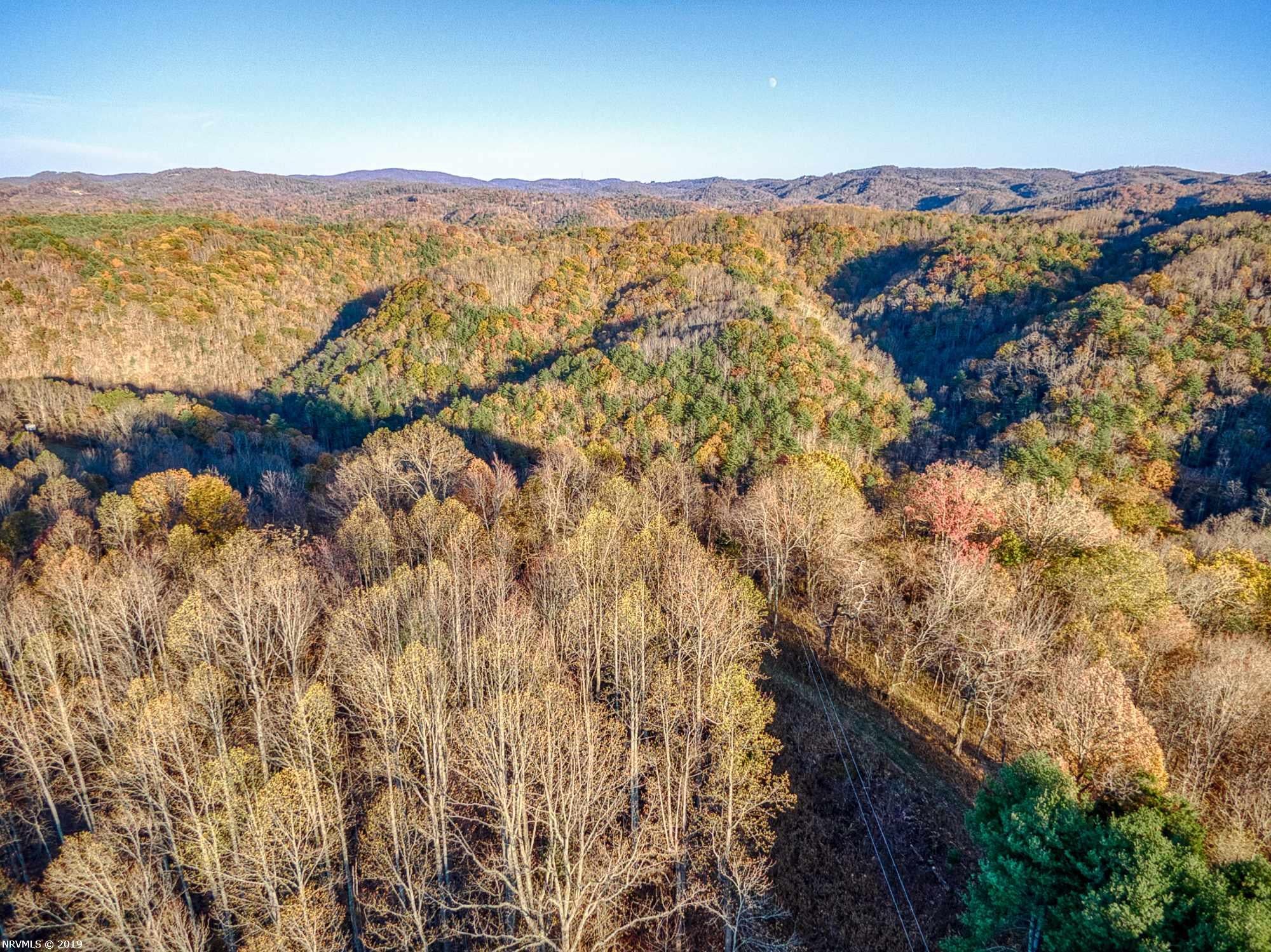 2881 Lick Ridge Road Northeast Check, VA 24072 - Photo 14 of 44 Gallery Image 14