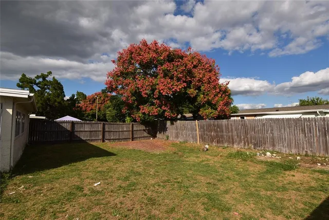 a view of yard along with trees