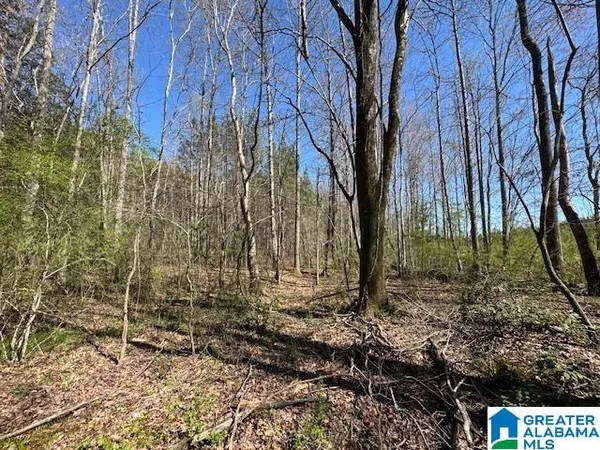 $115,000 | 26205 Highway 77, Unit TRACT 2 30 AC, Wadley, AL 36276