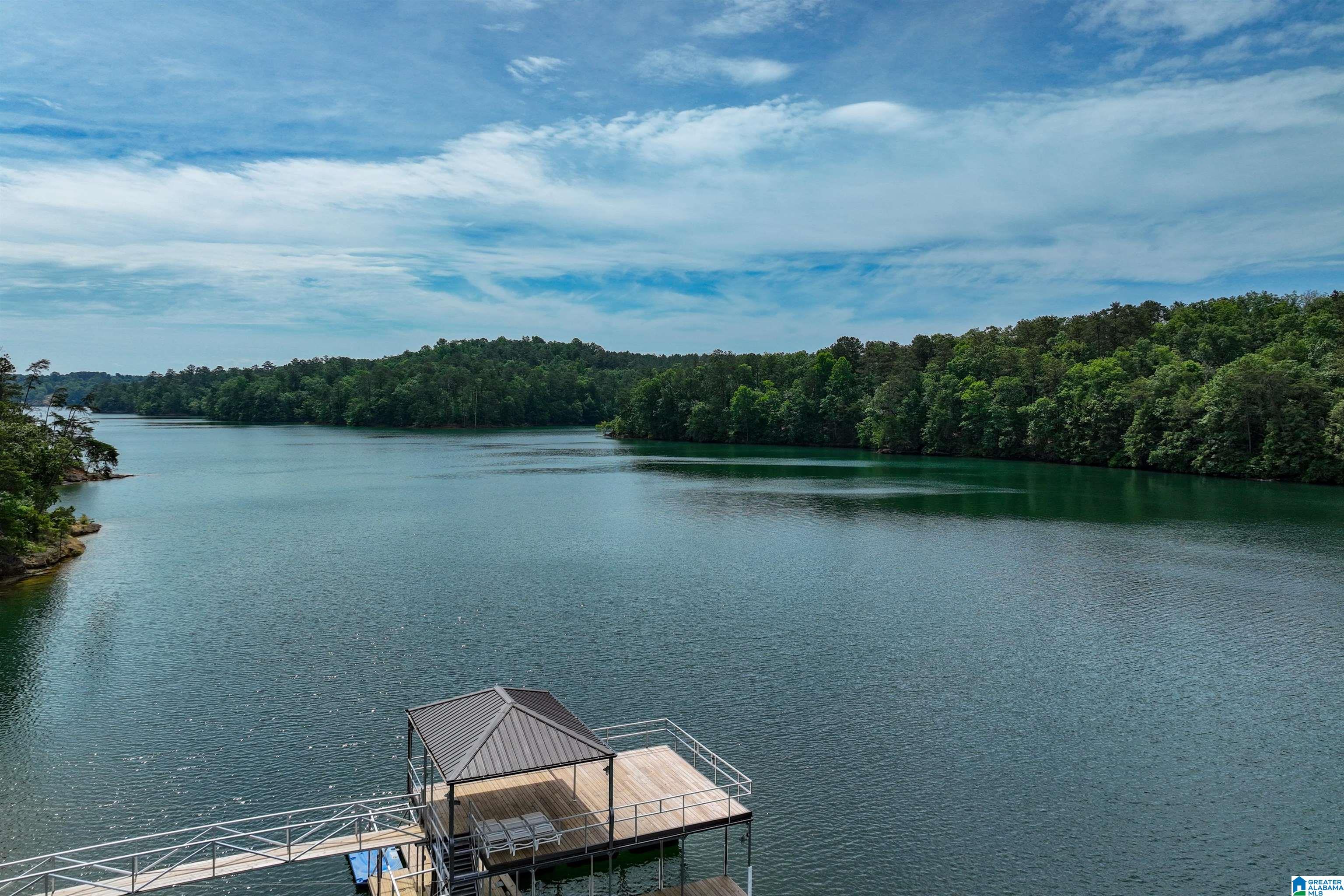 132 Slick Ford Way Houston, AL 35572 - Photo 57 of 63