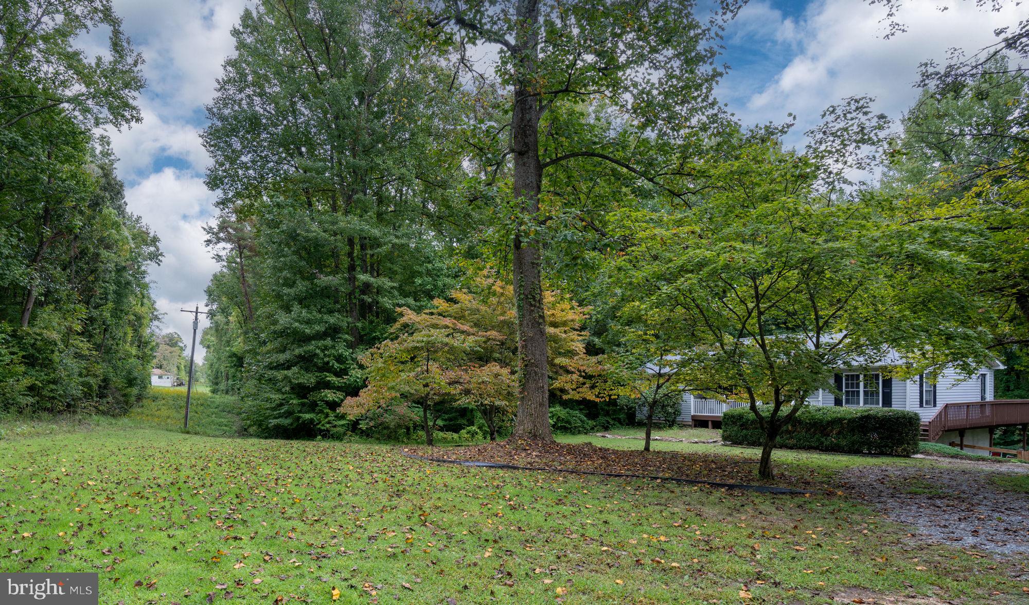 9486 Caledon Road King George, VA 22485 - Photo 4 of 58