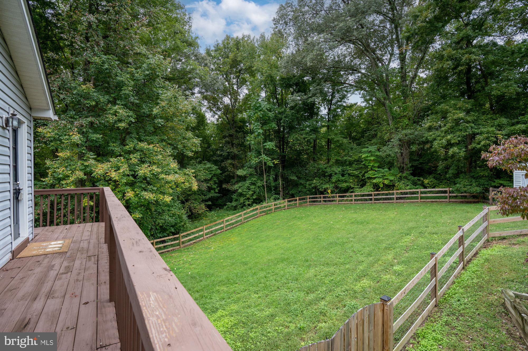 9486 Caledon Road King George, VA 22485 - Photo 47 of 58