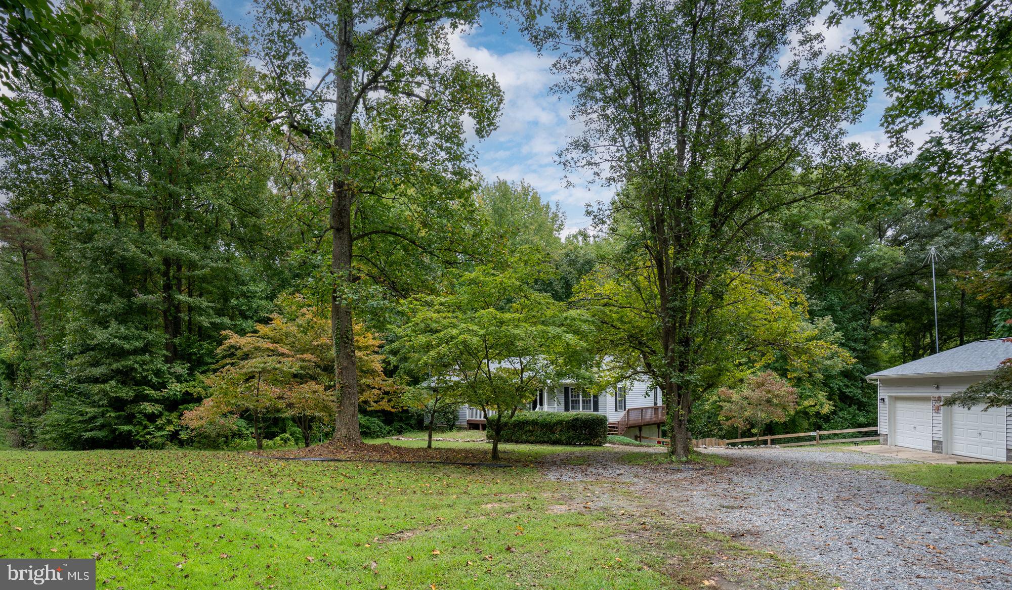 9486 Caledon Road King George, VA 22485 - Photo 5 of 58