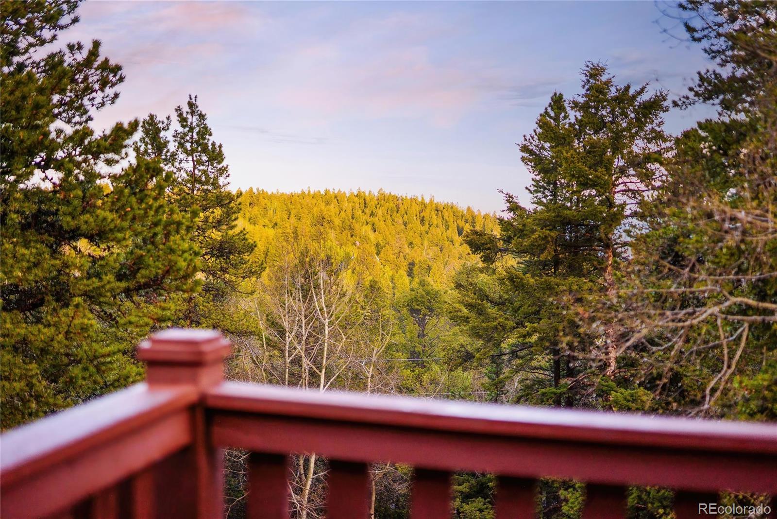 11163 Conifer Mountain Road Conifer, CO 80433 - Photo 38 of 46 a view of a yard from a balcony
