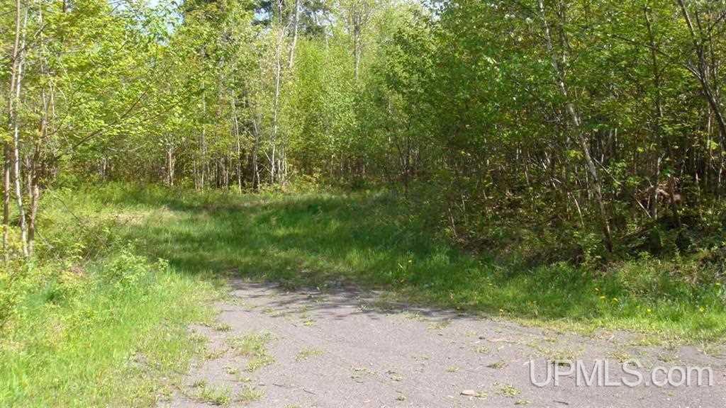 Tbd Rautio Trail & South Entry Road Chassell, MI 49916 - Photo 2 of 2