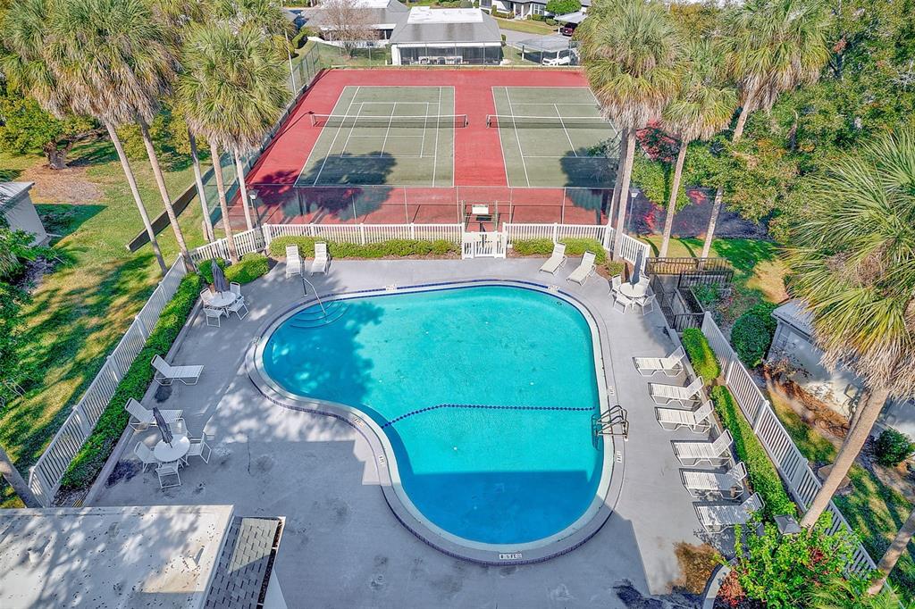 1287 McMullen Booth Road Clearwater, FL 33759 - Photo 24 of 26