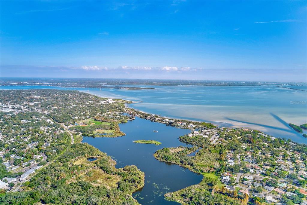 1287 McMullen Booth Road Clearwater, FL 33759 - Photo 26 of 26