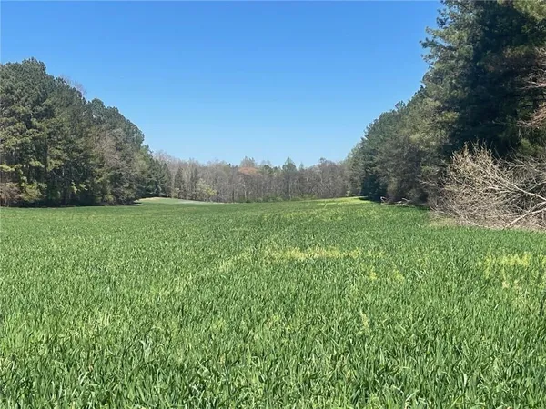 a view of a grassy field with trees in the background