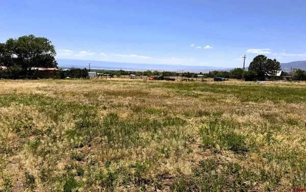 a view of a green field