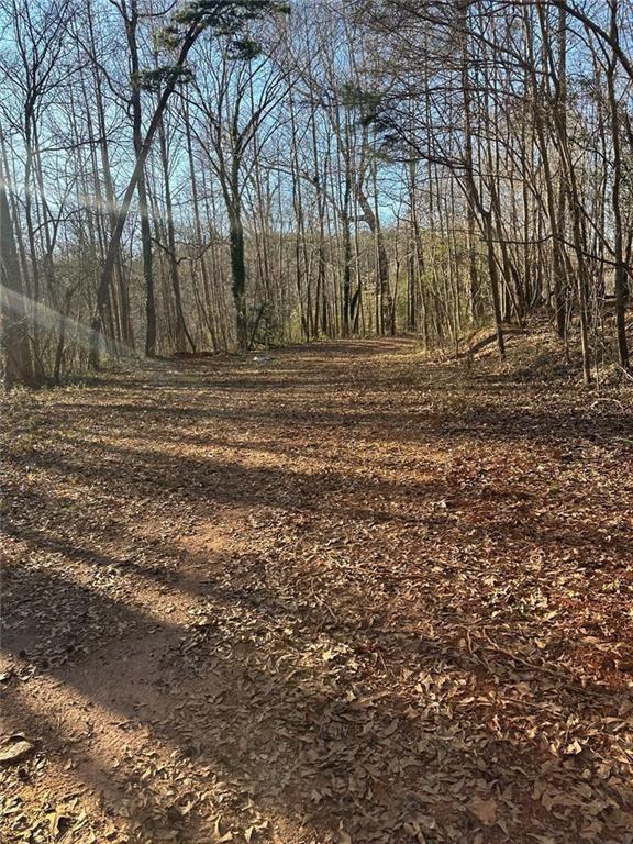 0 Collier Street Southwest Covington, GA 30014 - Photo 3 of 12