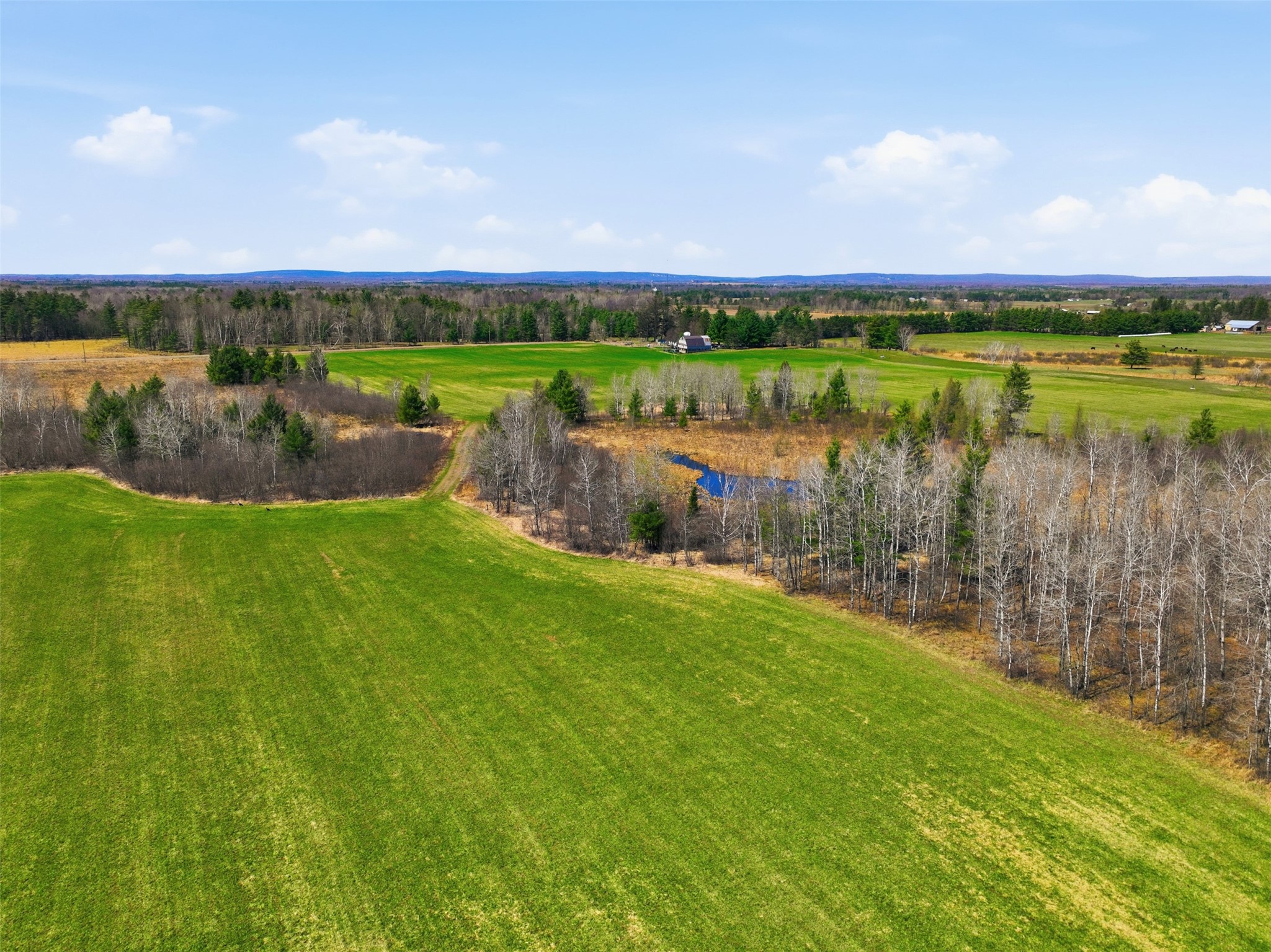 N4280 County Road East Bruce, WI 54819 - Photo 4 of 49